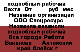 подсобный рабочий . Вахта. От 30 000 руб./мес. › Название организации ­ ООО Спецресурс › Название вакансии ­ подсобный рабочий - Все города Работа » Вакансии   . Алтайский край,Алейск г.